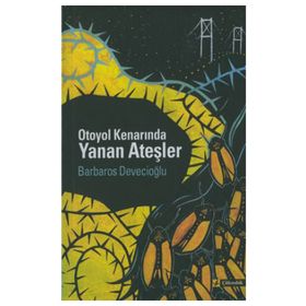 OTOYOL KENARINDA YANAN ATEŞLER - BARBAROS DEVECİOĞLU