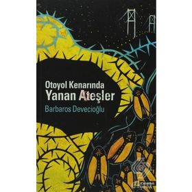 OTOYOL KENARINDA YANAN ATEŞLER - BARBAROS DEVECİOĞLU