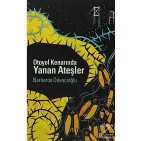 OTOYOL KENARINDA YANAN ATEŞLER - BARBAROS DEVECİOĞLU
