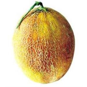 Ötügen Tohum 10 gr Ananas Kavun Tohumu