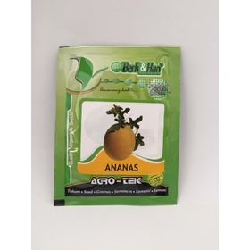 Ötügen Tohum 10 gr Ananas Kavun Tohumu