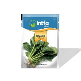 Ötügen Tohum 10 gr Ispanak Tohumu