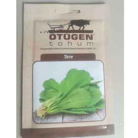 Ötügen Tohum 10 gr Tere Tohumu