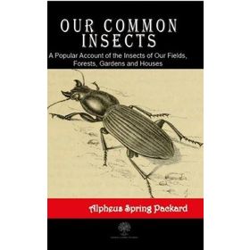 Our Common Insects - Alpheus Spring Packard