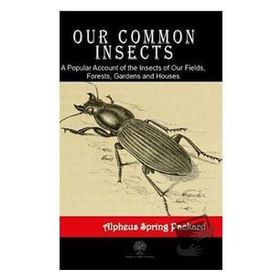 Our Common Insects - Alpheus Spring Packard
