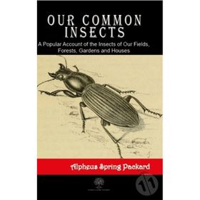 Our Common Insects - Alpheus Spring Packard