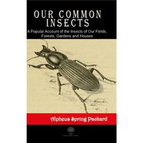 Our Common Insects - Alpheus Spring Packard
