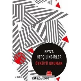 Öyküyü Okumak - Feyza Hepçilingirler