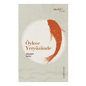 Öylece Yeryüzünde - Mehmet Narlı