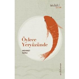 Öylece Yeryüzünde - Mehmet Narlı