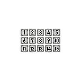 Özarslan Dizayn 10x10 cm Gümüş Renk 15 Adet Metal Kapı Masa Dolap Numara Levhası