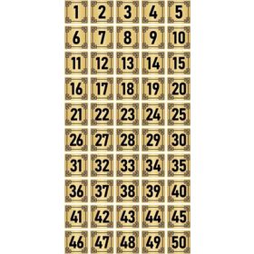 Özarslan Dizayn 5x5 cm Altın Renk 50 Adet Metal Kapı Masa Dolap Numara Levhası