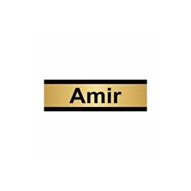 Özarslan Dizayn Amir 10x20 cm Altın Renk Metal Yönlendirme Levhası