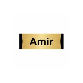 Özarslan Dizayn Amir 7x20 cm Altın Renk Metal Yönlendirme Levhası