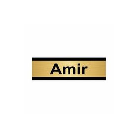 Özarslan Dizayn Amir 7x20 cm Altın Renk Metal Yönlendirme Levhası