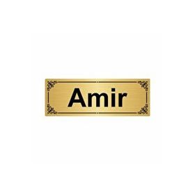 Özarslan Dizayn Amir 7x20 cm Altın Renk Metal Yönlendirme Levhası