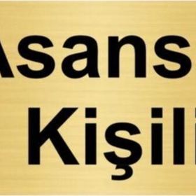 Özarslan Dizayn Asansör 10 Kişiliktir 5x20 cm Altın Renk Metal Yönlendirme Levhası