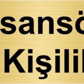 Özarslan Dizayn Asansör 10 Kişiliktir 7x20 cm Altın Renk Metal Yönlendirme Levhası