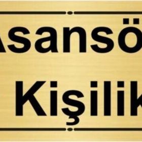 Özarslan Dizayn Asansör 10 Kişiliktir 7x20 cm Altın Renk Metal Yönlendirme Levhası
