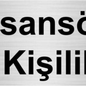 Özarslan Dizayn Asansör 12 Kişiliktir 10x20 cm Gümüş Renk Metal Yönlendirme Levhası
