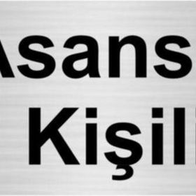Özarslan Dizayn Asansör 12 Kişiliktir 5x20 cm Gümüş Renk Metal Yönlendirme Levhası
