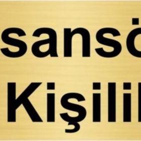 Özarslan Dizayn Asansör 12 Kişiliktir 7x20 cm Altın Renk Metal Yönlendirme Levhası