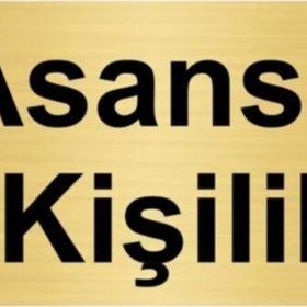 Özarslan Dizayn Asansör 2 Kişiliktir 10x20 cm Altın Renk Metal Yönlendirme Levhası