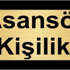 Özarslan Dizayn Asansör 2 Kişiliktir 5x20 cm Altın Renk Metal Yönlendirme Levhası