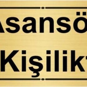 Özarslan Dizayn Asansör 2 Kişiliktir 7x20 cm Altın Renk Metal Yönlendirme Levhası