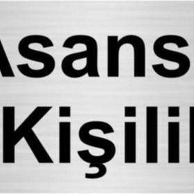 Özarslan Dizayn Asansör 3 Kişiliktir 7x20 cm Gümüş Renk Metal Yönlendirme Levhası