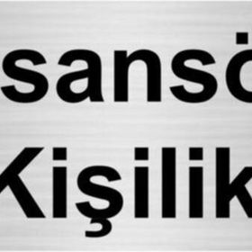 Özarslan Dizayn Asansör 3 Kişiliktir 7x20 cm Gümüş Renk Metal Yönlendirme Levhası