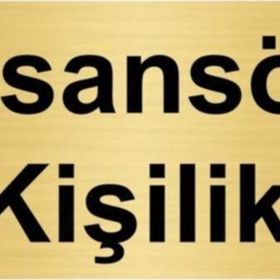 Özarslan Dizayn Asansör 4 Kişiliktir 10x20 cm Altın Renk Metal Yönlendirme Levhası