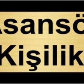 Özarslan Dizayn Asansör 4 Kişiliktir 10x20 cm Altın Renk Metal Yönlendirme Levhası