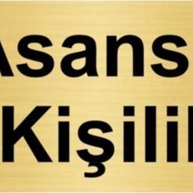 Özarslan Dizayn Asansör 4 Kişiliktir 10x20 cm Altın Renk Metal Yönlendirme Levhası