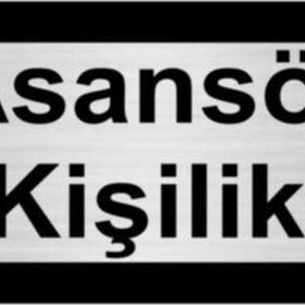 Özarslan Dizayn Asansör 4 Kişiliktir 5x20 cm Gümüş Renk Metal Yönlendirme Levhası