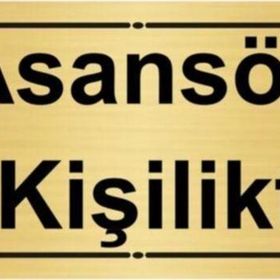 Özarslan Dizayn Asansör 4 Kişiliktir 7x20 cm Altın Renk Metal Yönlendirme Levhası