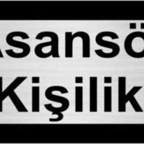Özarslan Dizayn Asansör 5 Kişiliktir 5x20 cm Gümüş Renk Metal Yönlendirme Levhası