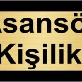Özarslan Dizayn Asansör 6 Kişiliktir 5x20 cm Altın Renk Metal Yönlendirme Levhası