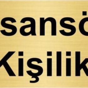 Özarslan Dizayn Asansör 8 Kişiliktir 7x20 cm Altın Renk Metal Yönlendirme Levhası