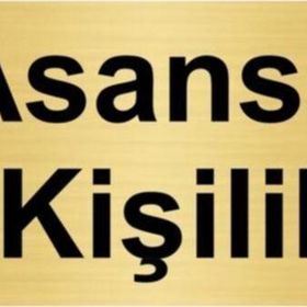 Özarslan Dizayn Asansör 8 Kişiliktir 7x20 cm Altın Renk Metal Yönlendirme Levhası