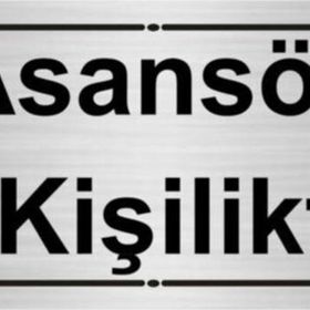 Özarslan Dizayn Asansör 8 Kişiliktir 7x20 cm Gümüş Renk Metal Yönlendirme Levhası