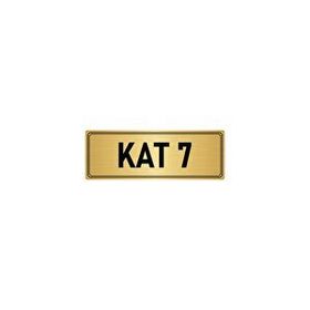 Özarslan Dizayn Departman Kapı İsimliği 7. Kat 10x20 cm Altın Renk Metal Yönlendirme Levhası