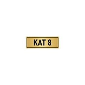 Özarslan Dizayn Departman Kapı İsimliği 8. Kat 5x20 cm Altın Renk Metal Yönlendirme Levhası