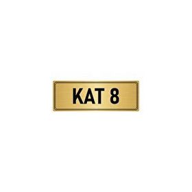 Özarslan Dizayn Departman Kapı İsimliği 8. Kat 5x20 cm Altın Renk Metal Yönlendirme Levhası