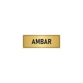 Özarslan Dizayn Departman Kapı İsimliği Ambar 10x20 cm Altın Renk Metal Yönlendirme Levhası