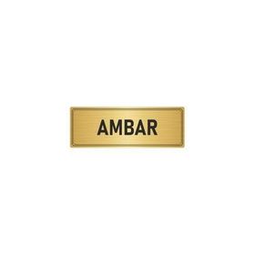 Özarslan Dizayn Departman Kapı İsimliği Ambar 7x20 cm Altın Renk Metal Yönlendirme Levhası