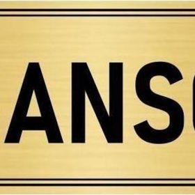 Özarslan Dizayn Departman Kapı İsimliği Asansör 10x20 cm Altın Renk Metal Yönlendirme Levhası