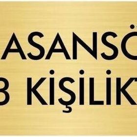 Özarslan Dizayn Departman Kapı İsimliği Asansör 3 Kişiliktir 10x20 cm Altın Renk Metal Yönlendirme Levhası