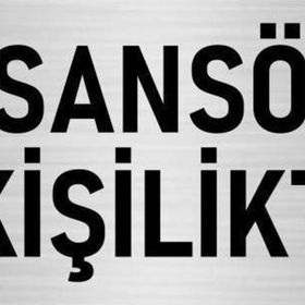 Özarslan Dizayn Departman Kapı İsimliği Asansör 4 Kişiliktir 10x20 cm Gümüş Renk Metal Yönlendirme Levhası