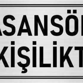 Özarslan Dizayn Departman Kapı İsimliği Asansör 4 Kişiliktir 7x20 cm Gümüş Renk Metal Yönlendirme Levhası